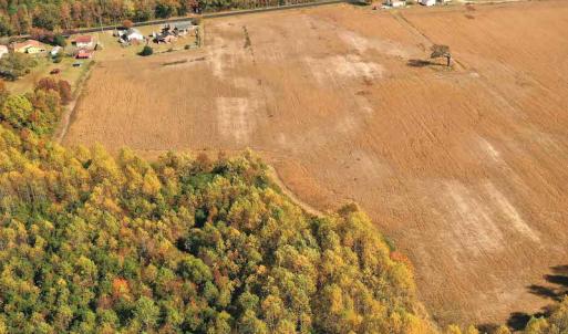 Photo #8 of SOLD property in 3077 Carolina Road, Suffolk, VA 22.0 acres