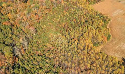 Photo #9 of SOLD property in 3077 Carolina Road, Suffolk, VA 22.0 acres