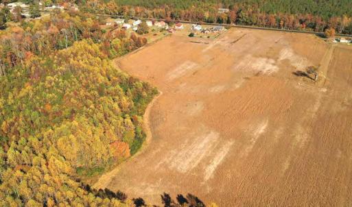 Photo #10 of SOLD property in 3077 Carolina Road, Suffolk, VA 22.0 acres