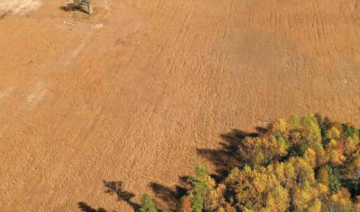 Photo #11 of SOLD property in 3077 Carolina Road, Suffolk, VA 22.0 acres