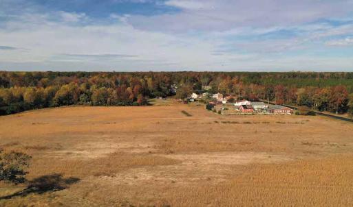 Photo #13 of SOLD property in 3077 Carolina Road, Suffolk, VA 22.0 acres