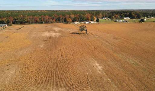 Photo #14 of SOLD property in 3077 Carolina Road, Suffolk, VA 22.0 acres
