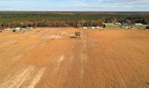 Photo #15 of SOLD property in 3077 Carolina Road, Suffolk, VA 22.0 acres