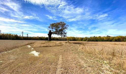 Photo #16 of SOLD property in 3077 Carolina Road, Suffolk, VA 22.0 acres