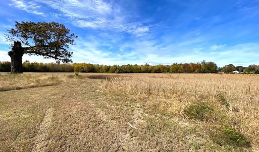 Photo #17 of SOLD property in 3077 Carolina Road, Suffolk, VA 22.0 acres