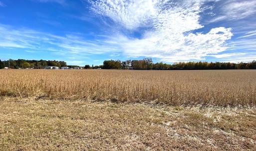 Photo #18 of SOLD property in 3077 Carolina Road, Suffolk, VA 22.0 acres