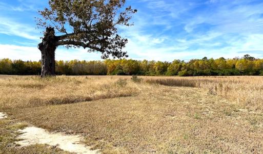 Photo #19 of SOLD property in 3077 Carolina Road, Suffolk, VA 22.0 acres