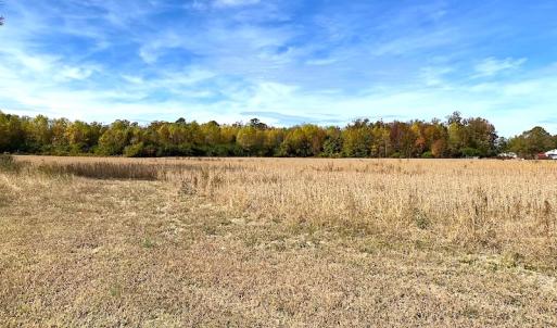 Photo #20 of SOLD property in 3077 Carolina Road, Suffolk, VA 22.0 acres