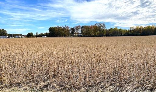 Photo #21 of SOLD property in 3077 Carolina Road, Suffolk, VA 22.0 acres