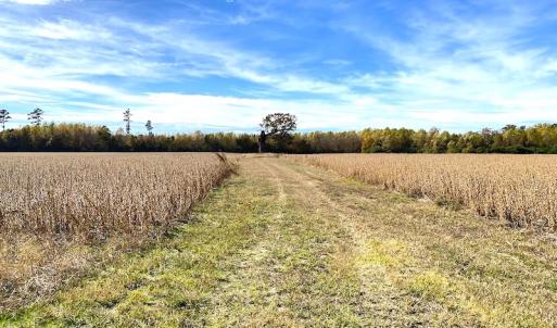 Photo #22 of SOLD property in 3077 Carolina Road, Suffolk, VA 22.0 acres