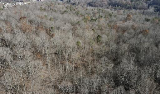 Photo #12 of 644 Blackberry Road, Bassett, VA 115.4 acres