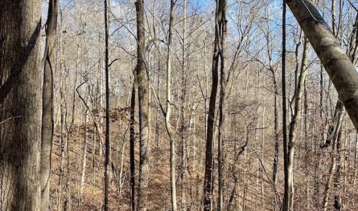 Photo #21 of 644 Blackberry Road, Bassett, VA 115.4 acres