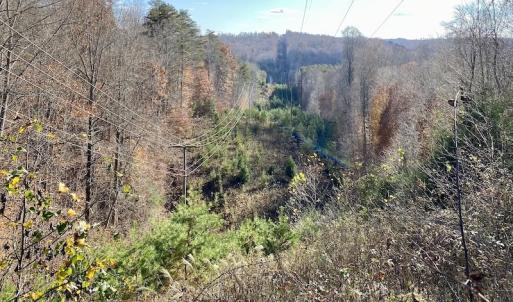 Photo #25 of 644 Blackberry Road, Bassett, VA 115.4 acres