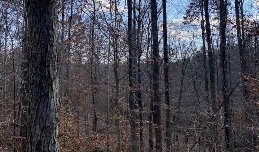 Photo #28 of 644 Blackberry Road, Bassett, VA 115.4 acres