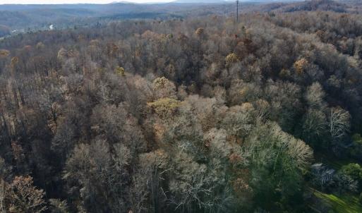 Photo #3 of 644 Blackberry Road, Bassett, VA 115.4 acres