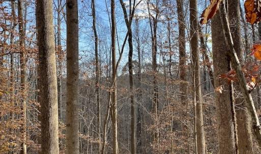 Photo #30 of 644 Blackberry Road, Bassett, VA 115.4 acres