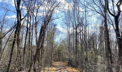 Photo #32 of 644 Blackberry Road, Bassett, VA 115.4 acres