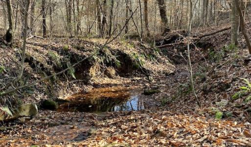 Photo #35 of 644 Blackberry Road, Bassett, VA 115.4 acres