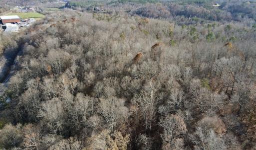 Photo #6 of 644 Blackberry Road, Bassett, VA 115.4 acres