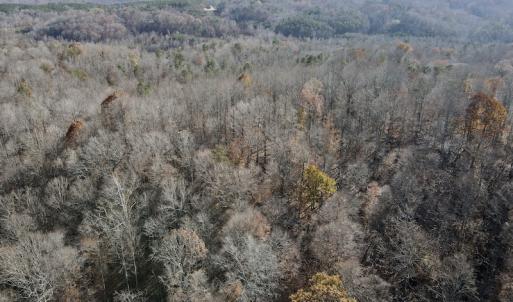 Photo #7 of 644 Blackberry Road, Bassett, VA 115.4 acres