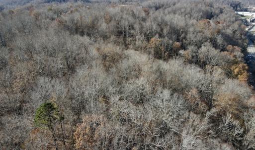 Photo #8 of 644 Blackberry Road, Bassett, VA 115.4 acres