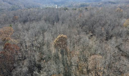 Photo #9 of 644 Blackberry Road, Bassett, VA 115.4 acres