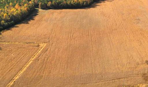 Photo #4 of SOLD property in 3081 Carolina Road, Suffolk, VA 9.6 acres