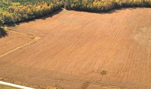 Photo #5 of SOLD property in 3081 Carolina Road, Suffolk, VA 9.6 acres