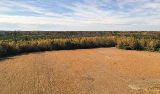 Photo #2 of SOLD property in 3081 Carolina Road, Suffolk, VA 9.6 acres
