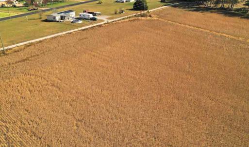 Photo #7 of SOLD property in 3081 Carolina Road, Suffolk, VA 9.6 acres