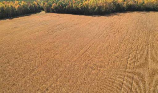 Photo #8 of SOLD property in 3081 Carolina Road, Suffolk, VA 9.6 acres