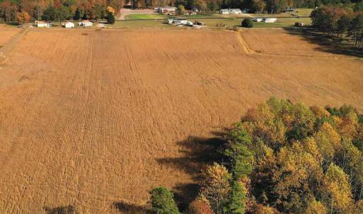 Photo #9 of SOLD property in 3081 Carolina Road, Suffolk, VA 9.6 acres