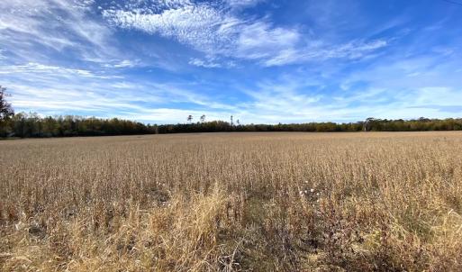 Photo #10 of SOLD property in 3081 Carolina Road, Suffolk, VA 9.6 acres