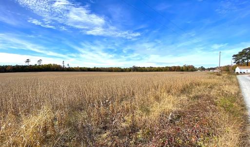 Photo #13 of SOLD property in 3081 Carolina Road, Suffolk, VA 9.6 acres