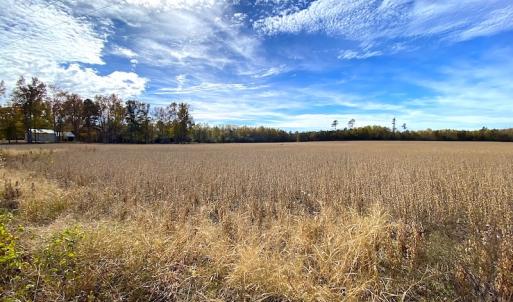 Photo #11 of SOLD property in 3081 Carolina Road, Suffolk, VA 9.6 acres