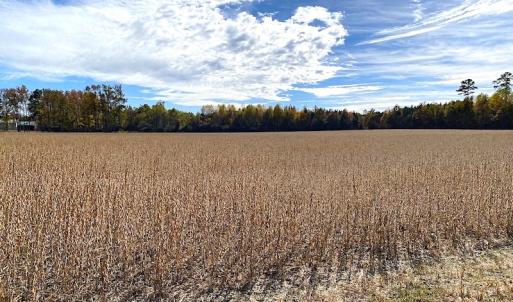Photo #12 of SOLD property in 3081 Carolina Road, Suffolk, VA 9.6 acres