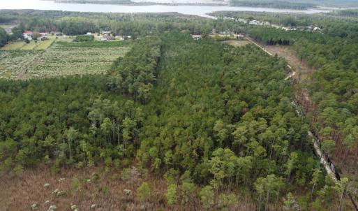 Photo #5 of NC 304 / 33 Hwy, Hobucken, NC 9.8 acres