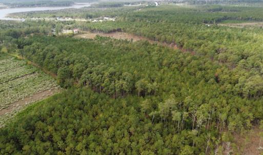 Photo #6 of NC 304 / 33 Hwy, Hobucken, NC 9.8 acres