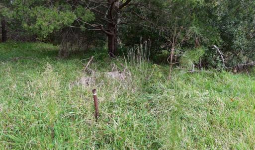 Photo #19 of NC 304 / 33 Hwy, Hobucken, NC 9.8 acres