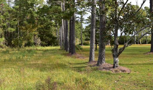Photo #12 of NC 304 / 33 Hwy, Hobucken, NC 9.8 acres