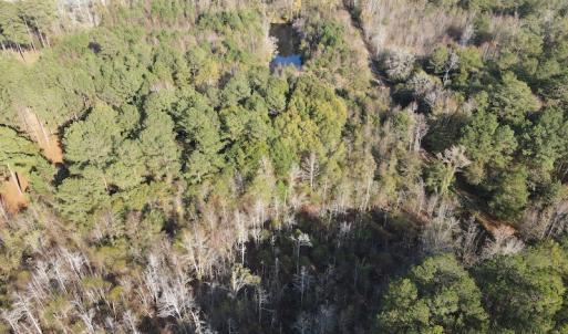 Photo #12 of 1512 Cedar Creek Road, Fayetteville, NC 32.0 acres