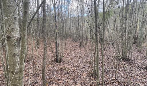 Photo #27 of 1512 Cedar Creek Road, Fayetteville, NC 32.0 acres