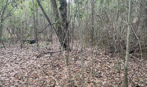 Photo #29 of 1512 Cedar Creek Road, Fayetteville, NC 32.0 acres