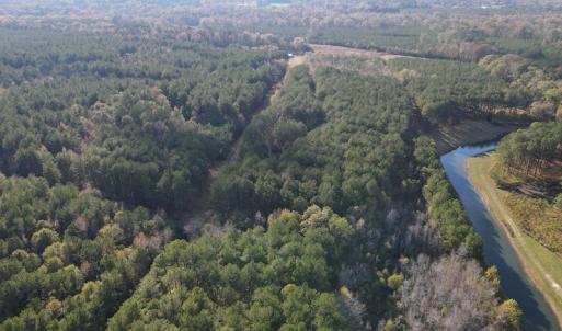Photo #18 of 1512 Cedar Creek Road, Fayetteville, NC 32.0 acres