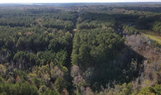 Photo #3 of 1512 Cedar Creek Road, Fayetteville, NC 32.0 acres