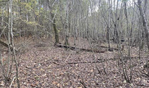 Photo #37 of 1512 Cedar Creek Road, Fayetteville, NC 32.0 acres