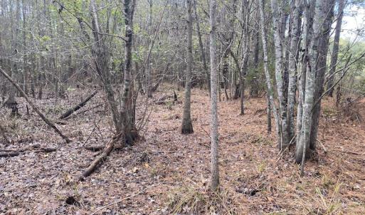 Photo #41 of 1512 Cedar Creek Road, Fayetteville, NC 32.0 acres