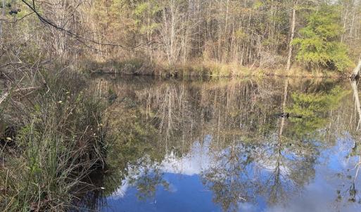 Photo #51 of 1512 Cedar Creek Road, Fayetteville, NC 32.0 acres