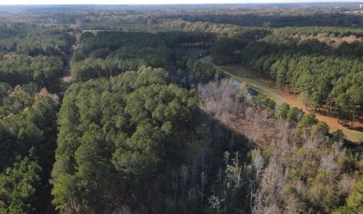 Photo #4 of 1512 Cedar Creek Road, Fayetteville, NC 32.0 acres