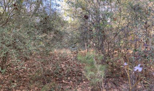 Photo #46 of 1512 Cedar Creek Road, Fayetteville, NC 32.0 acres